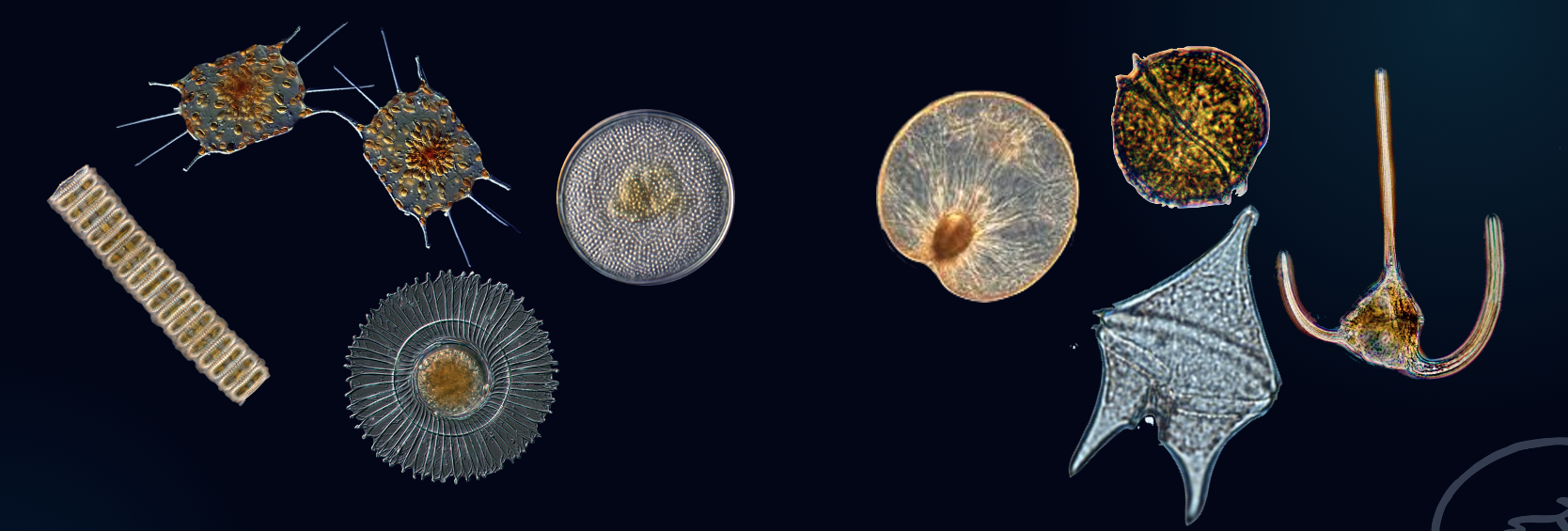 L'oceano invisibile